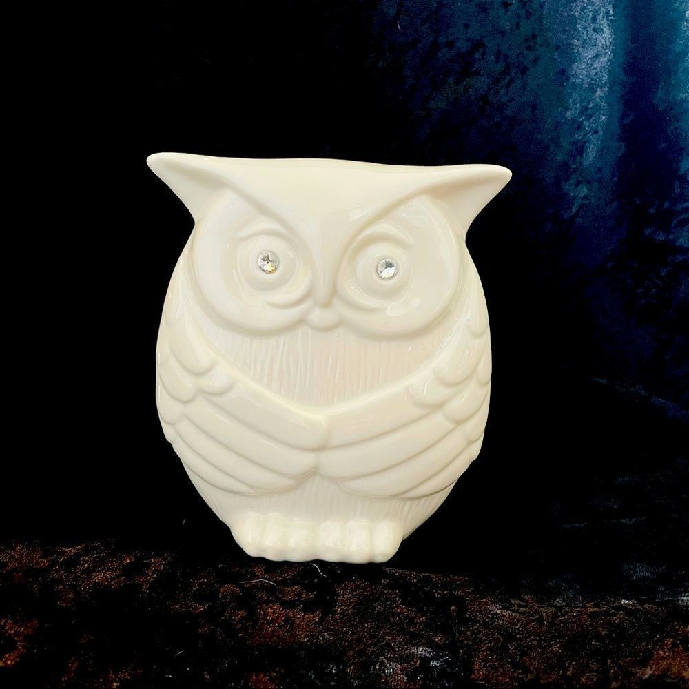 Ceramic Owl with a diamond eyes